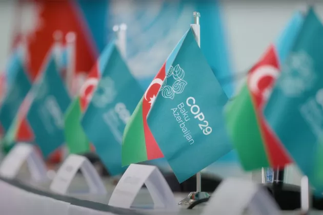 Flags with logo for COP 29 in Baku, Azerbaijan. Photo: cop29.az