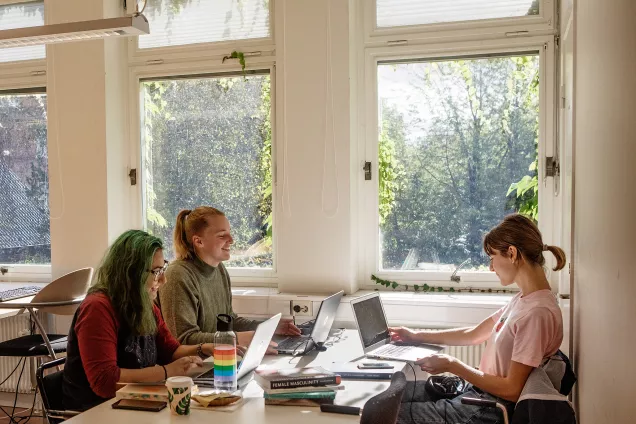 Tre studenter studerar vid ett bord framför ett fönster.